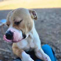 Thumbnail photo of Cruise #2