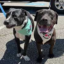 Thumbnail photo of Stan #4