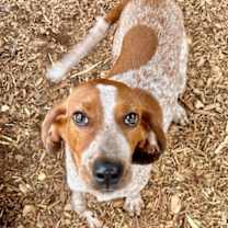 Thumbnail photo of Ricky #1