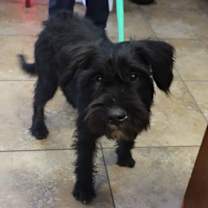 Thumbnail photo of 01-02 #1