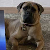 Thumbnail photo of Zoe #3