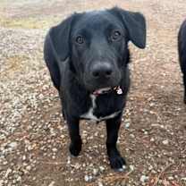 Thumbnail photo of Hex #1