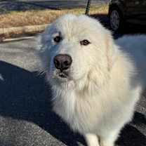 Thumbnail photo of Summit #3