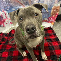 Thumbnail photo of Odyssey #3