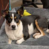 Thumbnail photo of Princess Peach #1