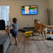 Thumbnail photo of Hurlee #4