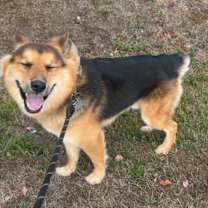 Thumbnail photo of Bear #4