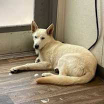 Thumbnail photo of Bolt #2