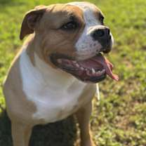 Thumbnail photo of Zelda #1