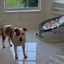 Thumbnail photo of Luna #4