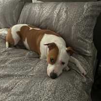 Thumbnail photo of Luna #1