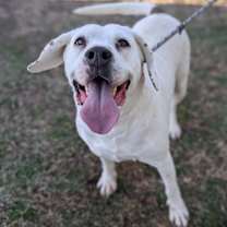 Thumbnail photo of Mystery Shopper #3