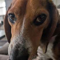 Thumbnail photo of Walker #3