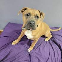 Thumbnail photo of Ari #3