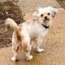 Thumbnail photo of Maisha  #2