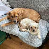 Thumbnail photo of Maisha  #3