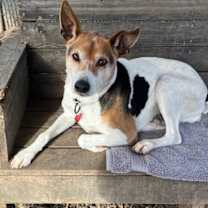 Thumbnail photo of Mina #1