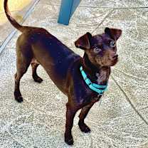 Thumbnail photo of Abigail #3