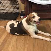 Thumbnail photo of Molly #4