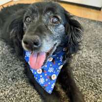 Thumbnail photo of Mollie #2