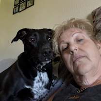 Thumbnail photo of Harlie #2