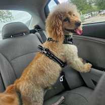 Thumbnail photo of Tank #2