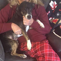 Thumbnail photo of Gulliver(Ranger) #2