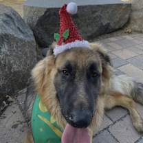 Thumbnail photo of Pancake #2