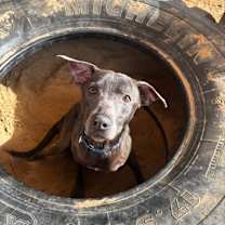 Thumbnail photo of Talana #1