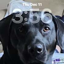 Thumbnail photo of Emma #1