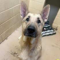 Thumbnail photo of Keenan #1