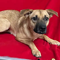 Thumbnail photo of Zoe #1