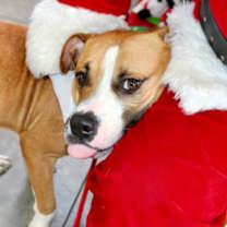 Thumbnail photo of Rubble #2