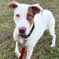 Thumbnail photo of Damon #2