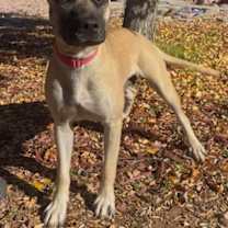 Thumbnail photo of Milly #3