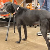 Thumbnail photo of Rhonda #3