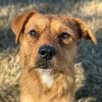 Thumbnail photo of Eggnog #1