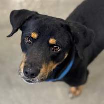 Thumbnail photo of Denver #2