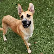 Thumbnail photo of Sushi JuM #1