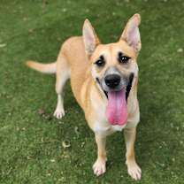 Thumbnail photo of Sushi JuM #3