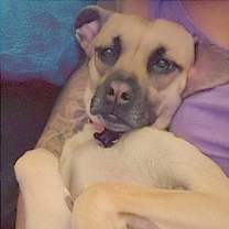 Thumbnail photo of Adeline #2