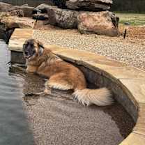 Thumbnail photo of Nala #4