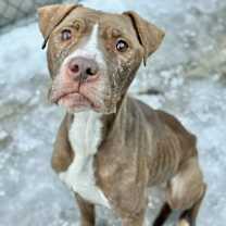 Thumbnail photo of Champagne #4