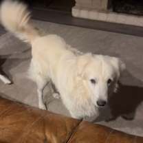 Thumbnail photo of Winter #2