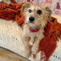 Thumbnail photo of Mister Marty Marvelous #4