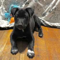 Thumbnail photo of Espresso #1