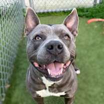 Thumbnail photo of Elton #1