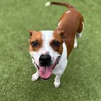 Thumbnail photo of Friday #1