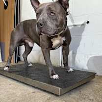 Thumbnail photo of Elton #2