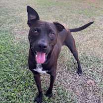 Thumbnail photo of Duncan #2